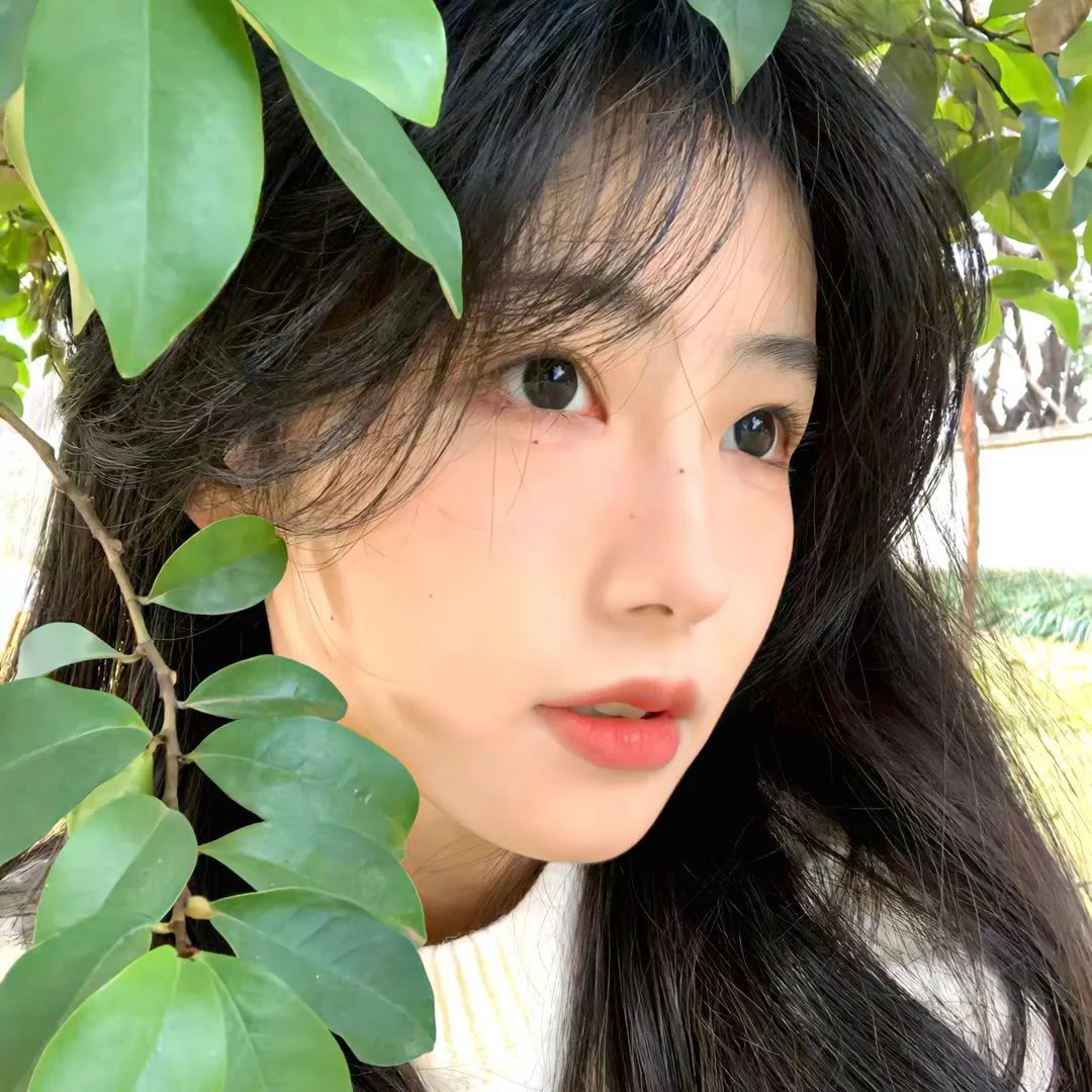 第一夫人